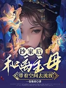 抄家后,和离主母带着空间去流放
