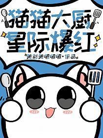 猫猫大厨,星际爆红